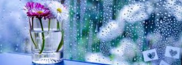 cropped-rainy-day.jpg