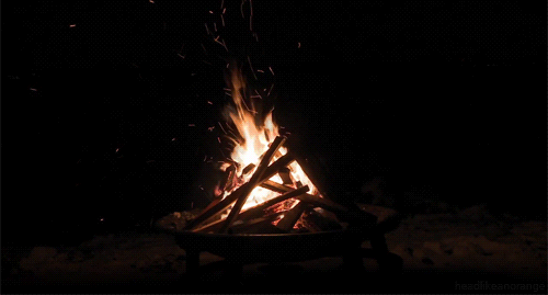 firepit GIF