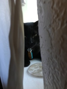 55848929191__CC31B2CA-56E9-4A39-87B4-871453EA0F91