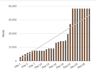 2017-nanowrimo-stats-edited.png