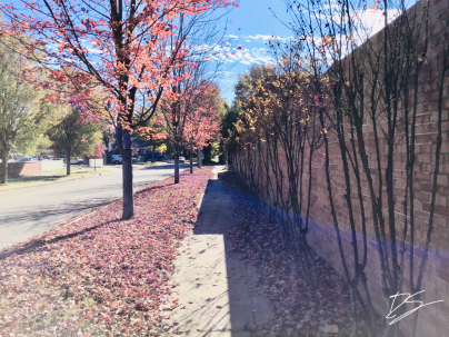 watermark_05-11-2018_08-36-09pm-1