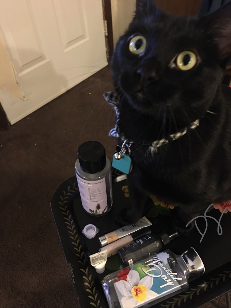 Proof that Jupiter likes to get in the way of things sometimes. 