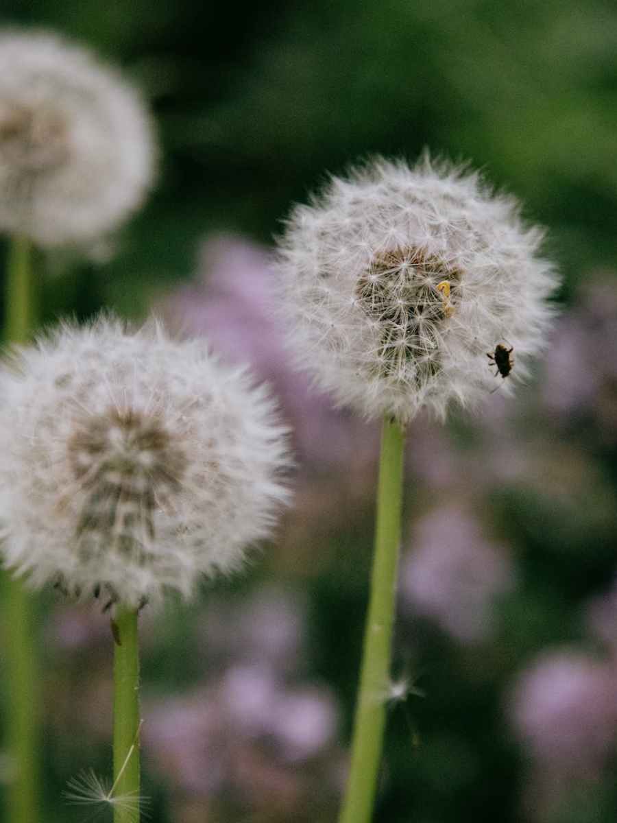 Where Have I&nbsp;Been?