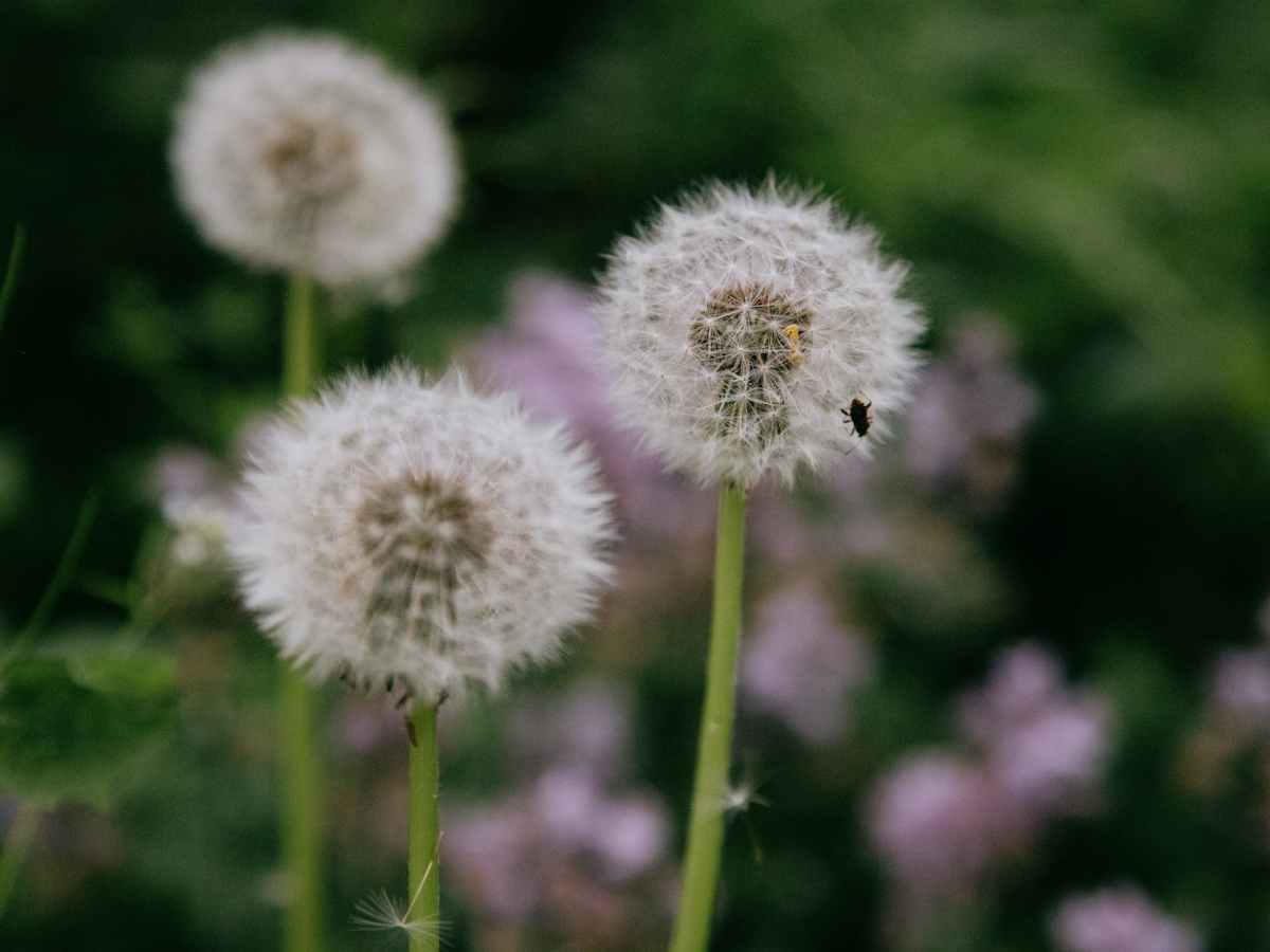 Where Have I&nbsp;Been?